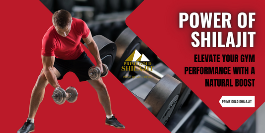 Power of Shilajit:Your Gym Performance with a Natural Boost